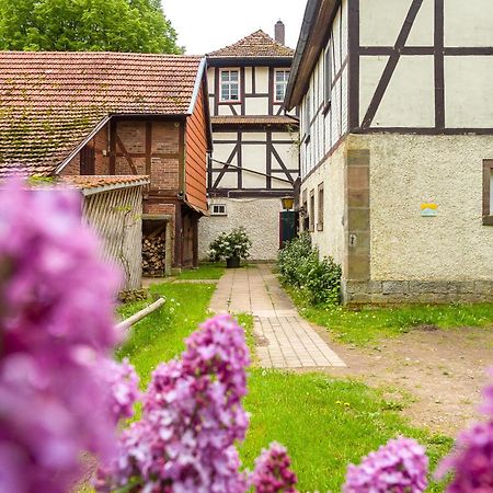 Forsthaus Halbemark Villa Bad Sooden-Allendorf Eksteriør bilde