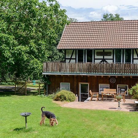 Forsthaus Halbemark Villa Bad Sooden-Allendorf Eksteriør bilde