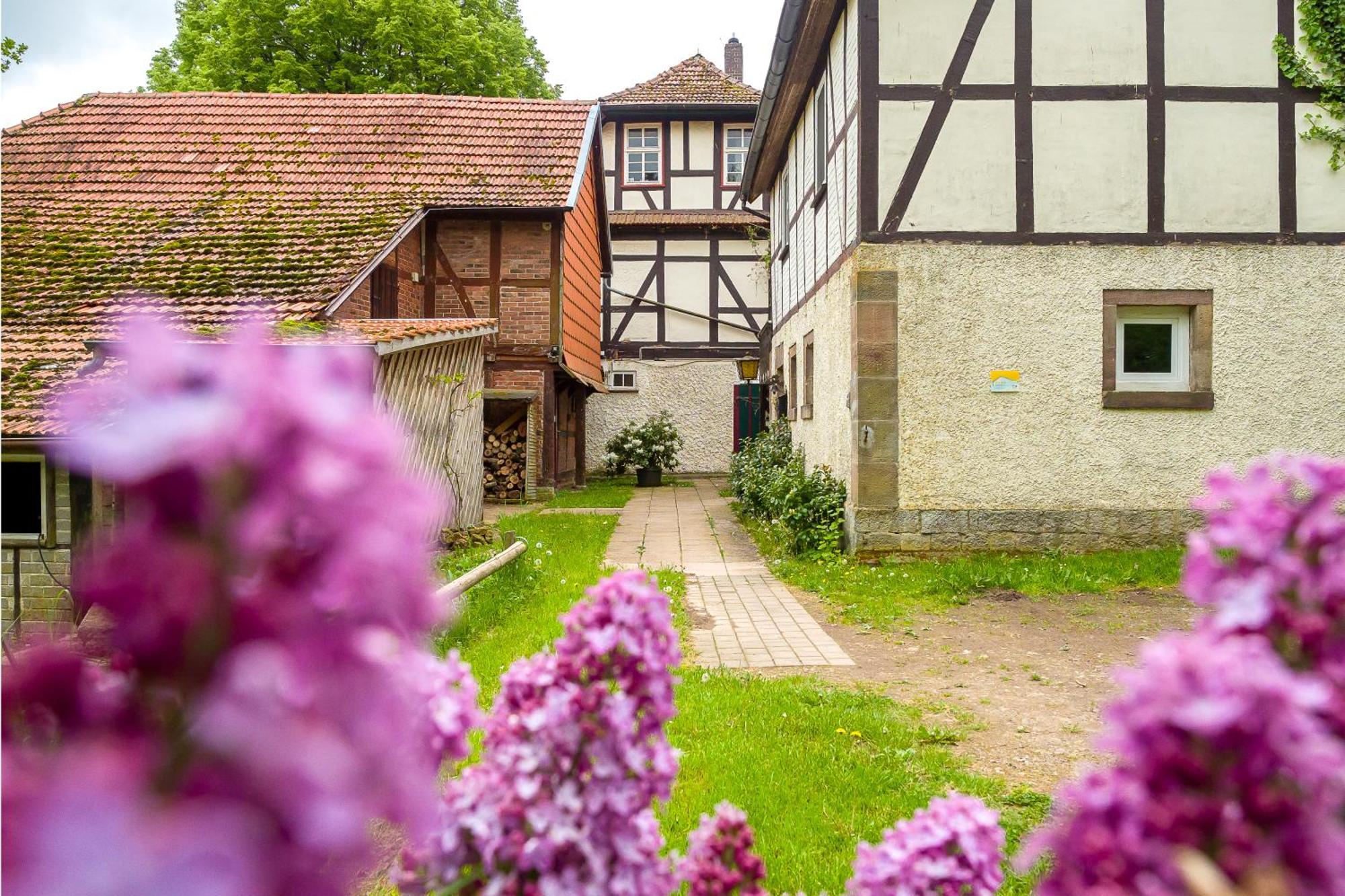 Forsthaus Halbemark Villa Bad Sooden-Allendorf Eksteriør bilde