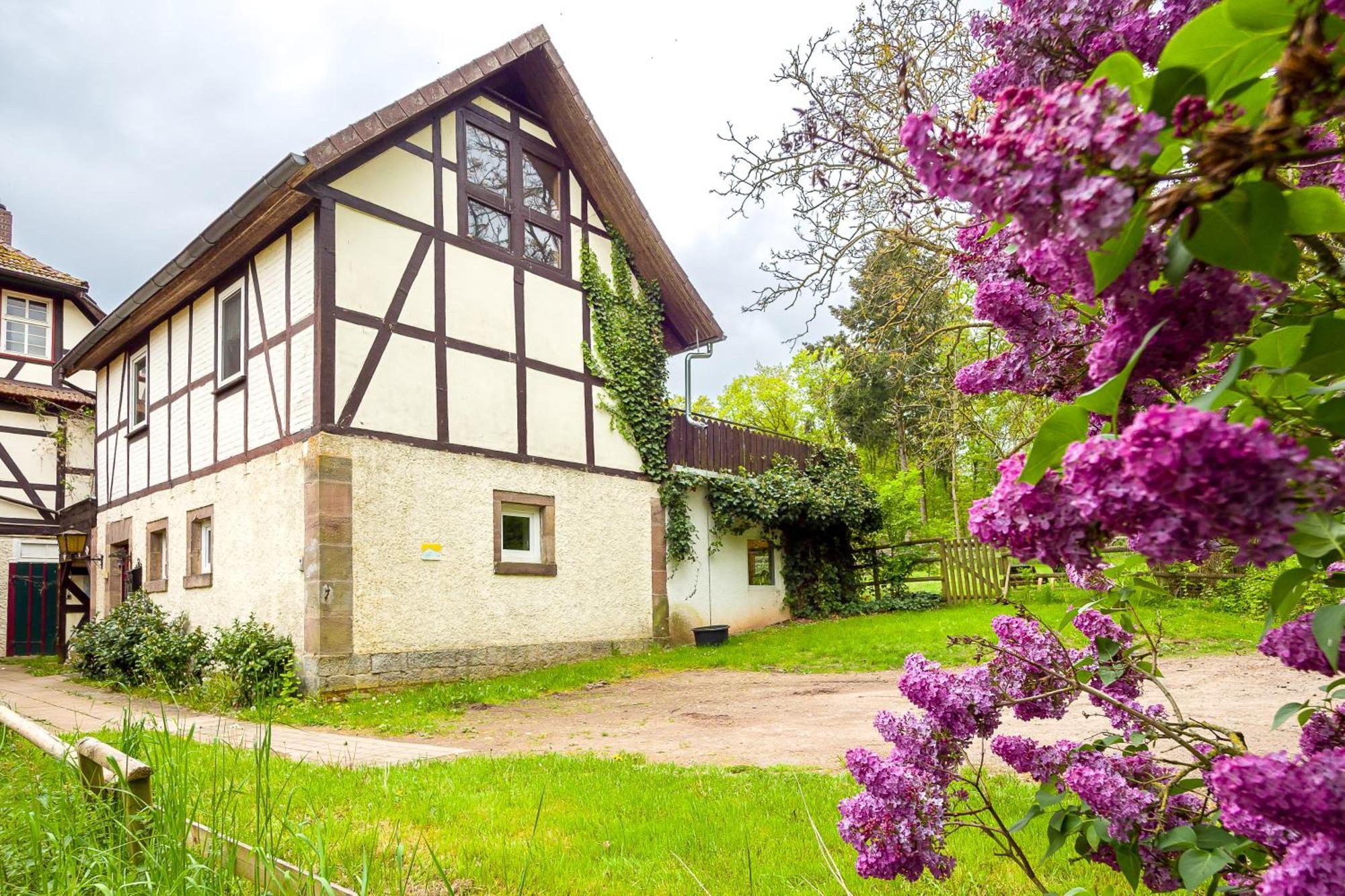 Forsthaus Halbemark Villa Bad Sooden-Allendorf Eksteriør bilde